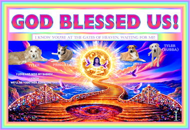 GBU STUNNING SUN SM