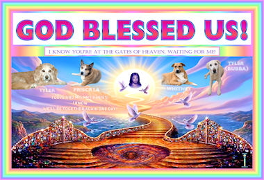 GBU TRADITIONAL ENHANCED 